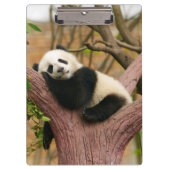 Porte-bloc Cute ours Panda (Devant)