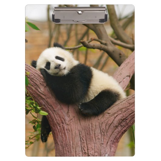 Porte-bloc Cute ours Panda (Devant)