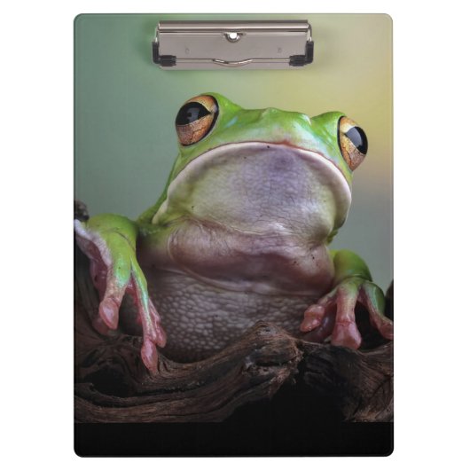 Porte-bloc Cute Porte - bloc de grenouille (Devant)