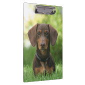 Porte-bloc Dachshund (Swatch)