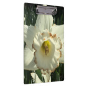 Porte-bloc Daffodile blanc Extraordinaire (Swatch)