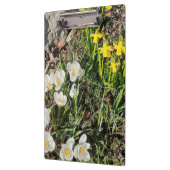 Porte-bloc Daffodiles & Crocus (Gauche)