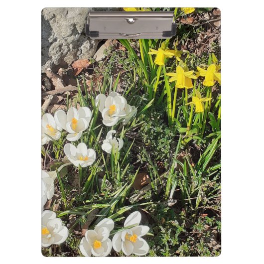 Porte-bloc Daffodiles & Crocus (Devant)