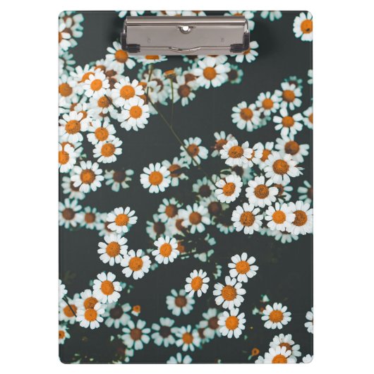 Porte-bloc Daisy Daisies Floral (Devant)