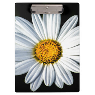 Porte-bloc Daisy Mae