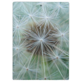 Porte-bloc Dandelion blanc (Dos)