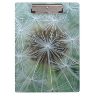 Porte-bloc Dandelion blanc
