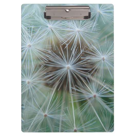 Porte-bloc Dandelion blanc (Devant)