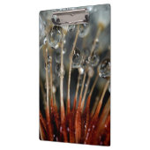 Porte-bloc Dandelion et gouttes d'eau, CA (Gauche)