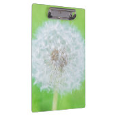 Porte-bloc Dandelion - Juste Réveillé La Beauté (Swatch)