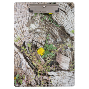 Porte-bloc Dandelions à vie morte