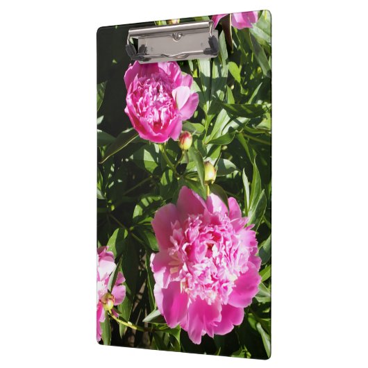 Porte-bloc Dark rose peonies (Gauche)