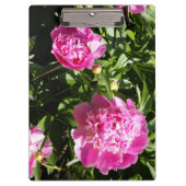 Porte-bloc Dark rose peonies (Devant)