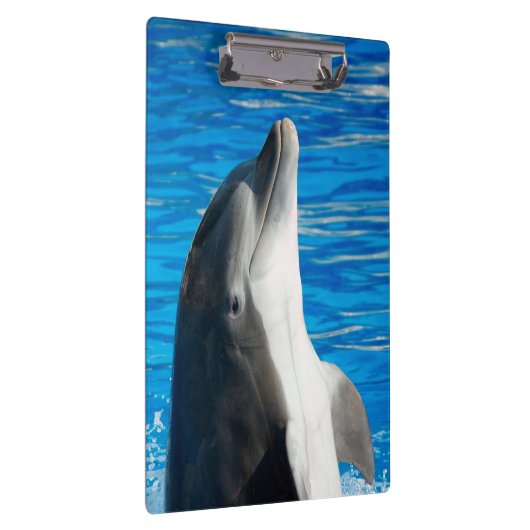 Porte-bloc Dauphin à bec (Swatch)