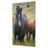 Porte-bloc De beaux chevaux (Gauche)