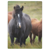 Porte-bloc De beaux chevaux (Dos)