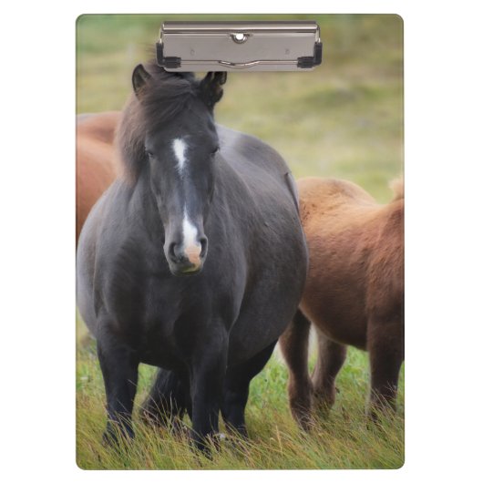Porte-bloc De beaux chevaux (Devant)