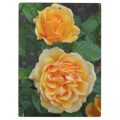 Porte-bloc De belles roses oranges (Dos)