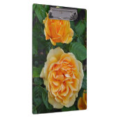 Porte-bloc De belles roses oranges (Swatch)