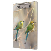 Porte-bloc Deux Bee-eaters (Gauche)
