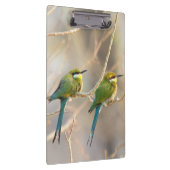 Porte-bloc Deux Bee-eaters (Swatch)