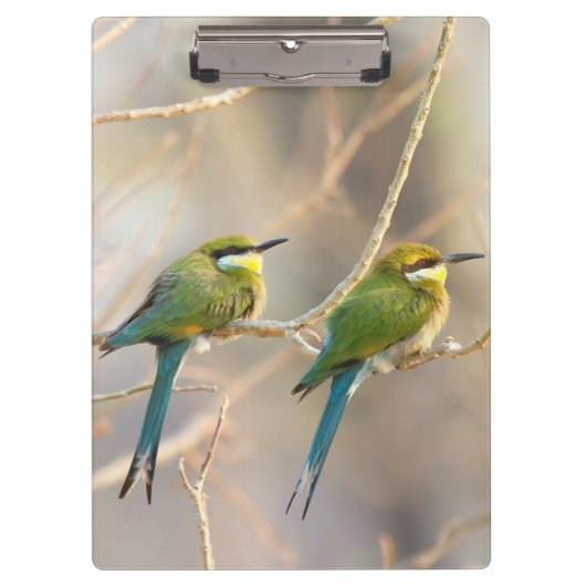 Porte-bloc Deux Bee-eaters (Devant)