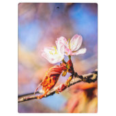 Porte-bloc Deux Fleurs Extraordinaires Sakura. Rose, Arrière (Dos)