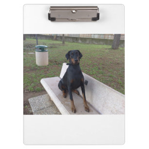 Porte-bloc doberman pinting