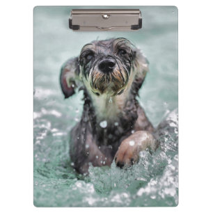 Porte-bloc Doggy Paddle mignon chien nager