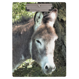 PORTE-BLOC DONKEY
