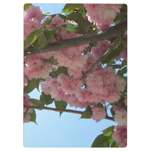 Porte-bloc Double Blossoming Cherry (Dos)