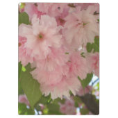 Porte-bloc Double floraison cerisier II printemps fleuri (Dos)