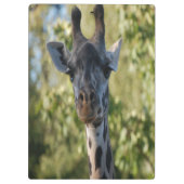 Porte-bloc Douche girafe (Dos)