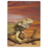 Porte-bloc Dragon barbu (Pogona Vitticeps) sur la branche, (Dos)