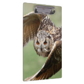 Porte-bloc Duc En vol (Swatch)