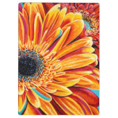 Porte-bloc Éclats de couleur II (Dos)