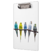 Porte-bloc Économies (Gauche)