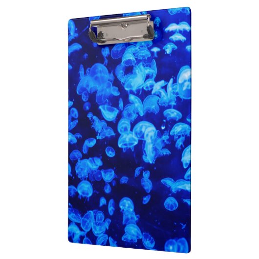 Porte-bloc Écran de méduse (Gauche)