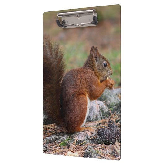 Porte-bloc Écureuil (Gauche)