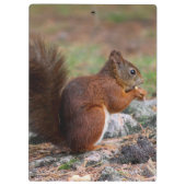 Porte-bloc Écureuil (Dos)