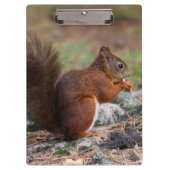 Porte-bloc Écureuil (Devant)