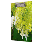 Porte-bloc Élégante Chartreuse Vert Limelight Hydrangea (Gauche)