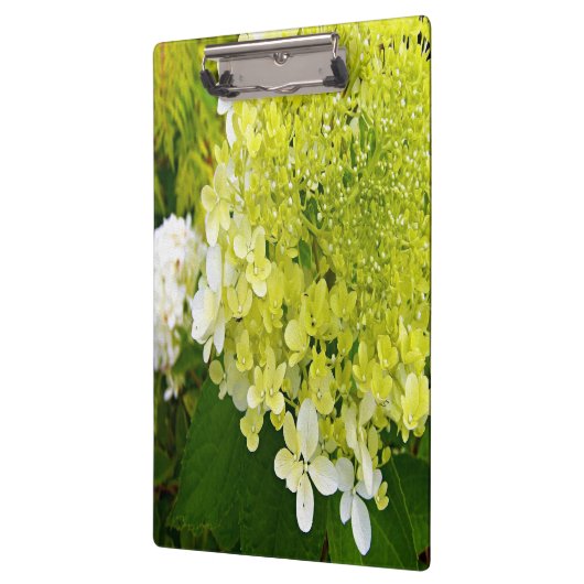 Porte-bloc Élégante Chartreuse Vert Limelight Hydrangea (Gauche)