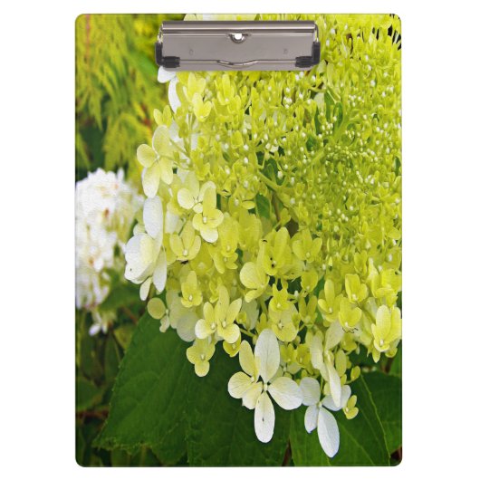 Porte-bloc Élégante Chartreuse Vert Limelight Hydrangea (Devant)