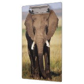 Porte-bloc Éléphant de savane d'Afrique (Gauche)
