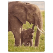 Porte-bloc Éléphant et bébé des images | de Getty (Dos)