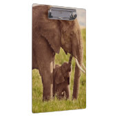 Porte-bloc Éléphant et bébé des images | de Getty (Swatch)