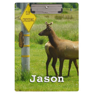 Porte-bloc Elk Crossing California Wildlife Photography