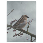 Porte-bloc Épervier sur la branche (Dos)