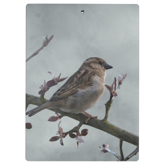 Porte-bloc Épervier sur la branche (Dos)